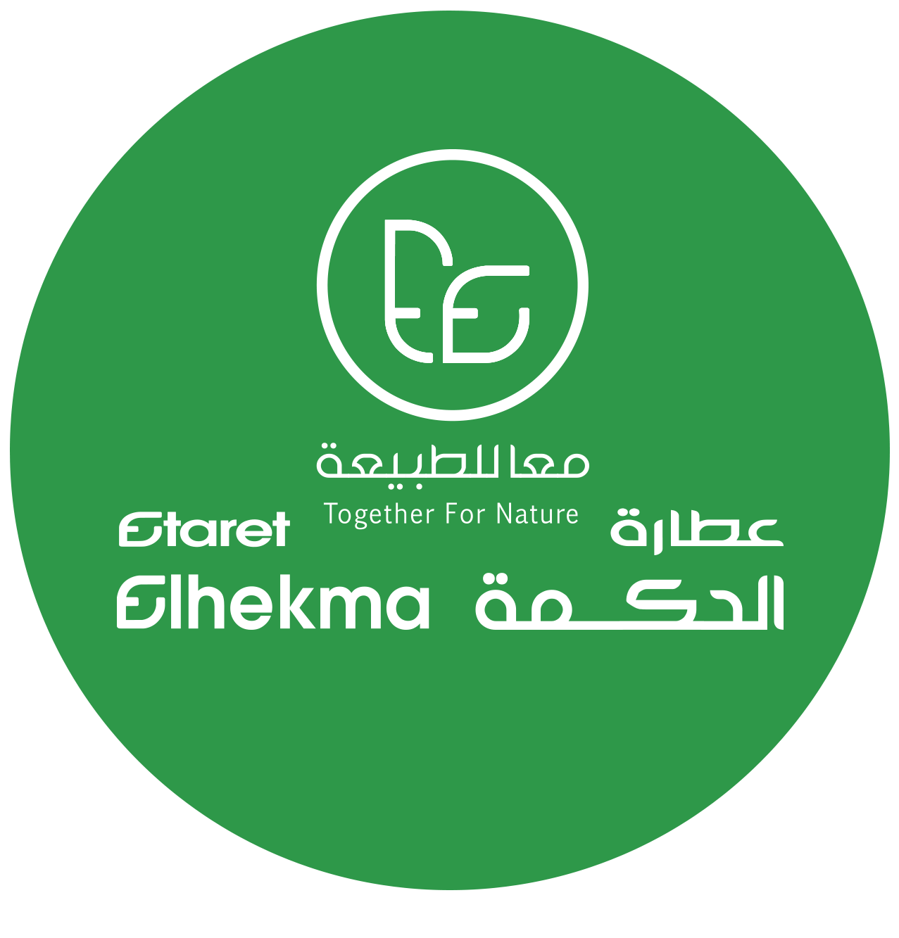 My Website